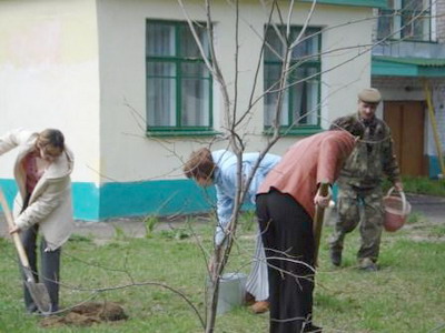 Подарим детскому саду фруктовый сад